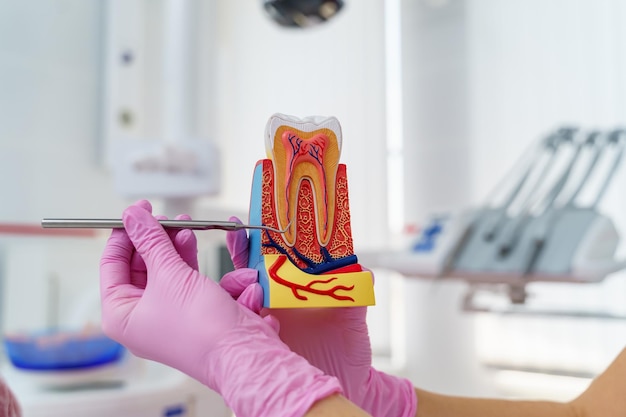 what are the warning signs that you may need a root canal